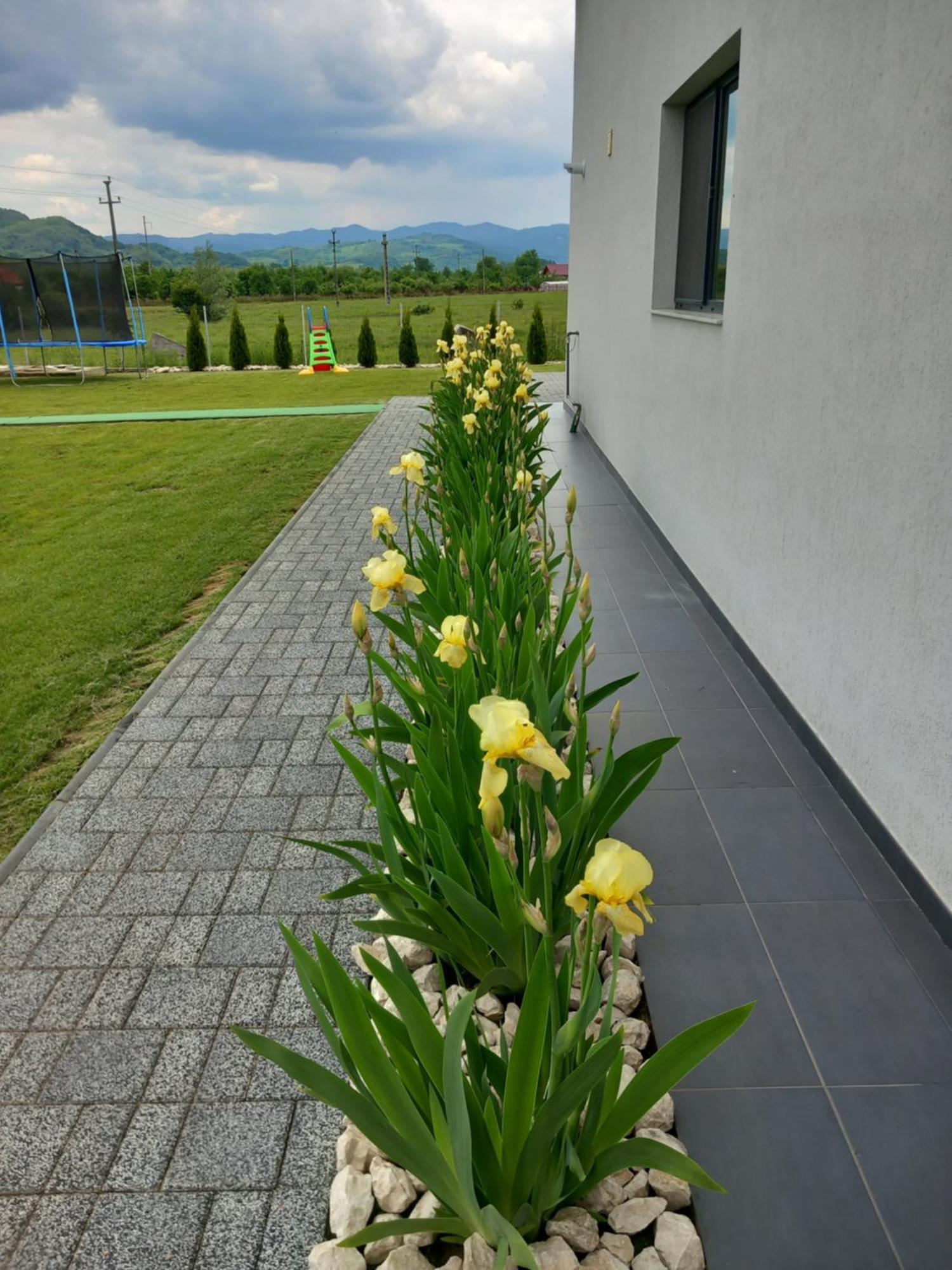 Hotel Casa Ambientt Albestii de Arges Zewnętrze zdjęcie